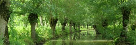  UNESCO World Heritage Site!  Le Marais Poitevin: Discover the Green Venice of France!